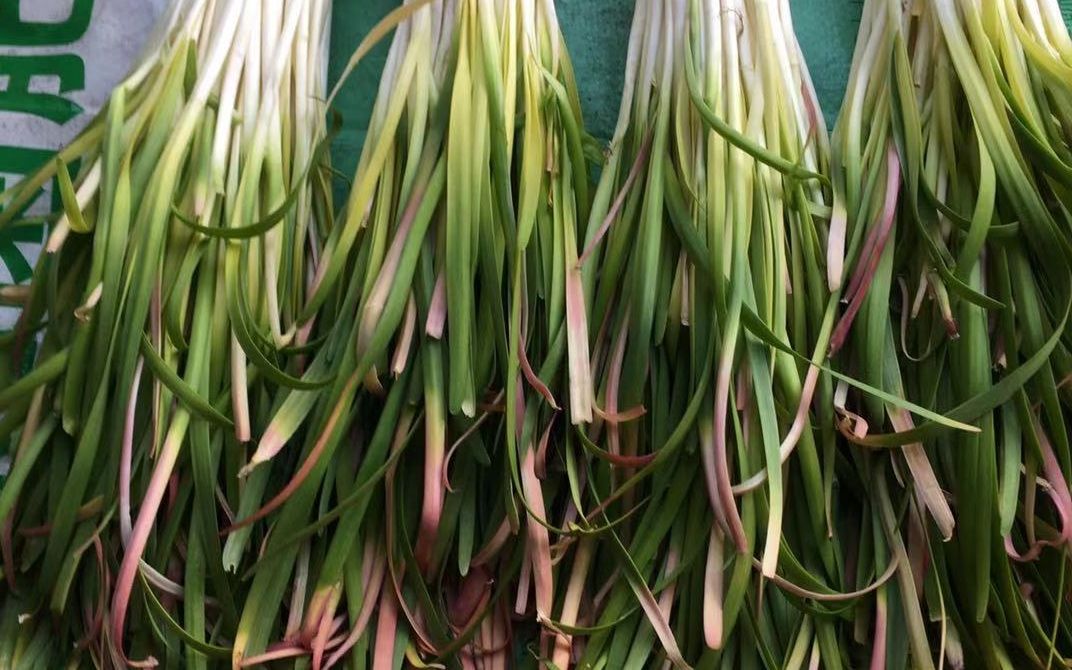 微信图片_20220601102922