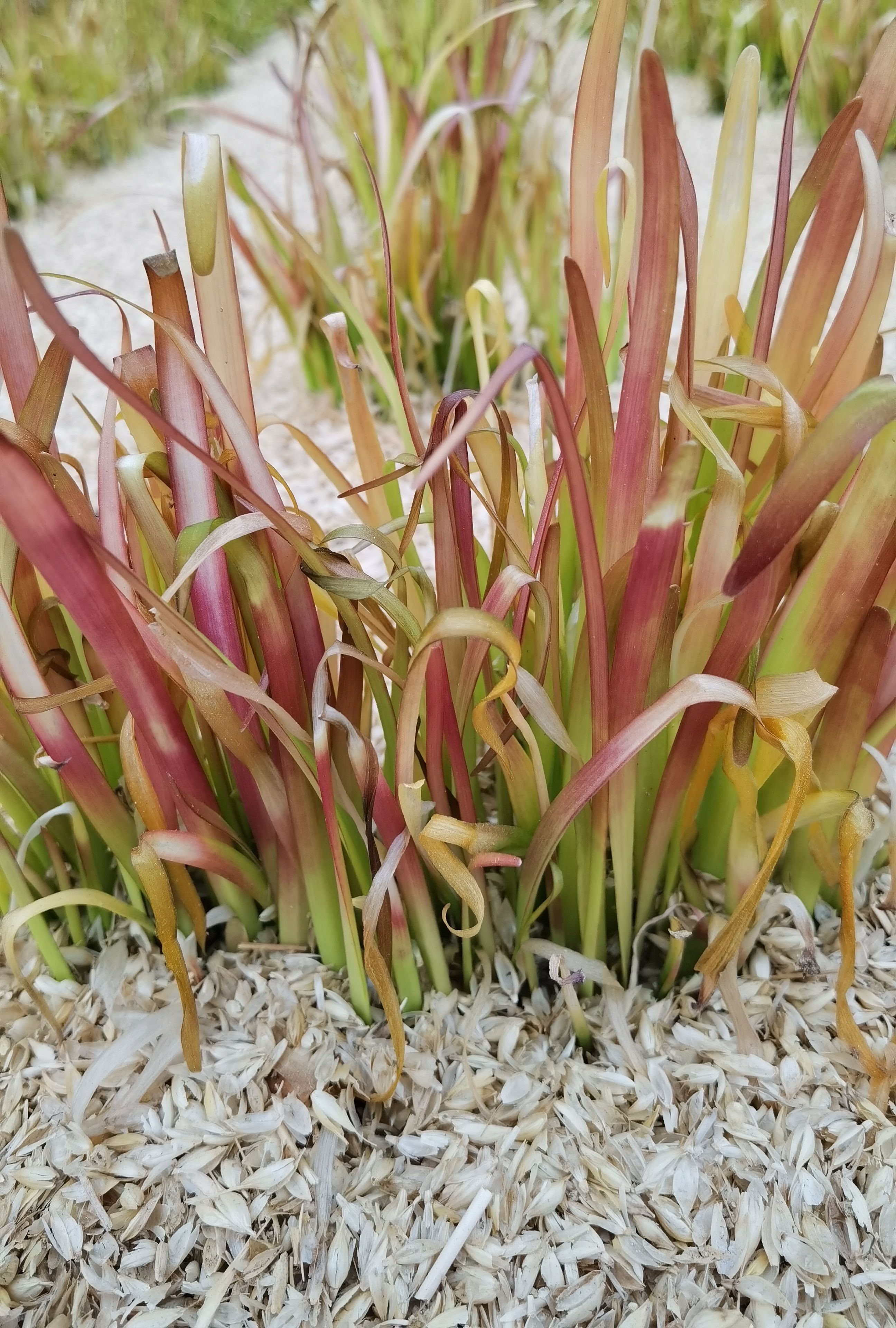 微信图片_20220601102926