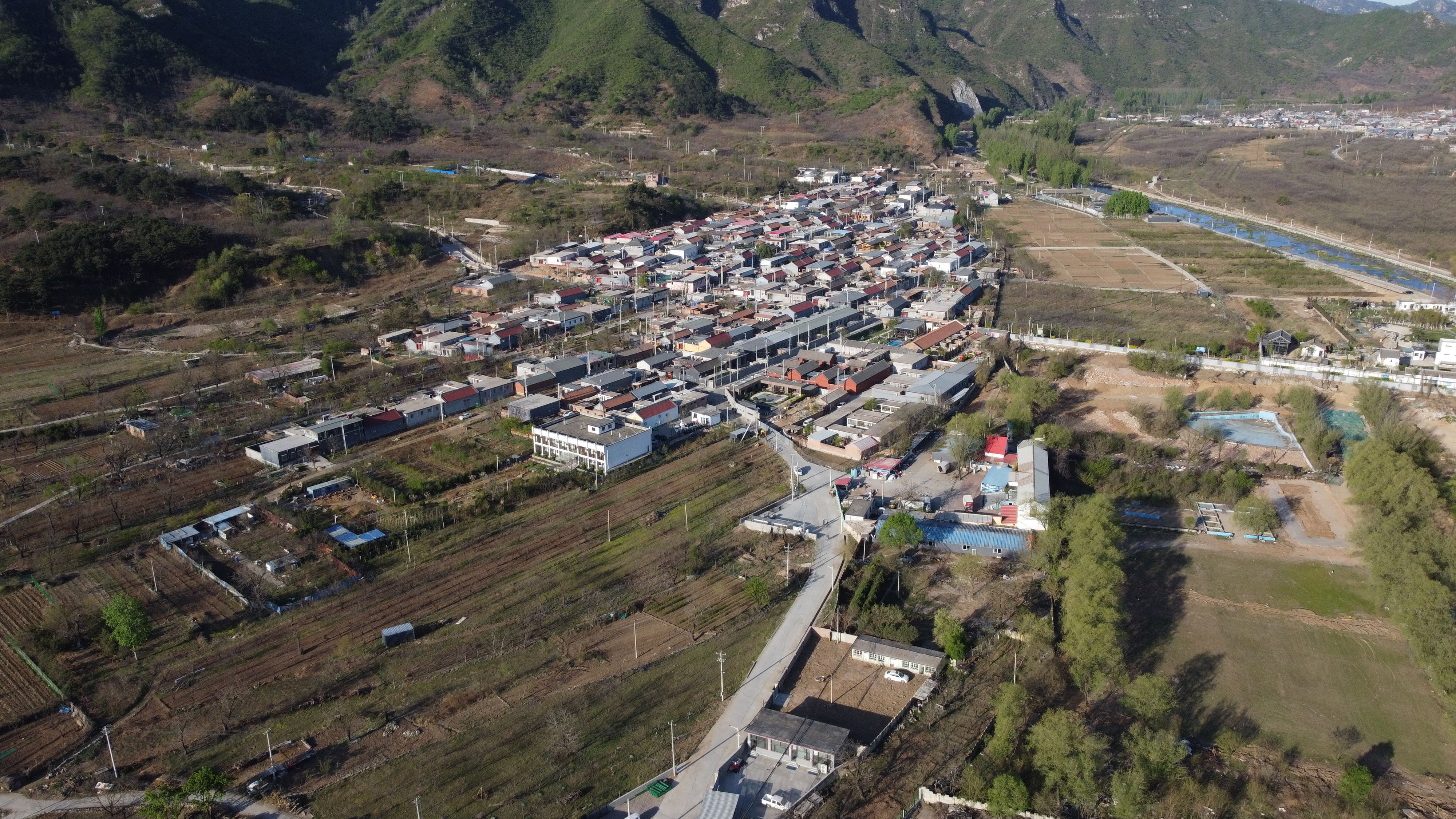 tangzheng2022612224533525677
