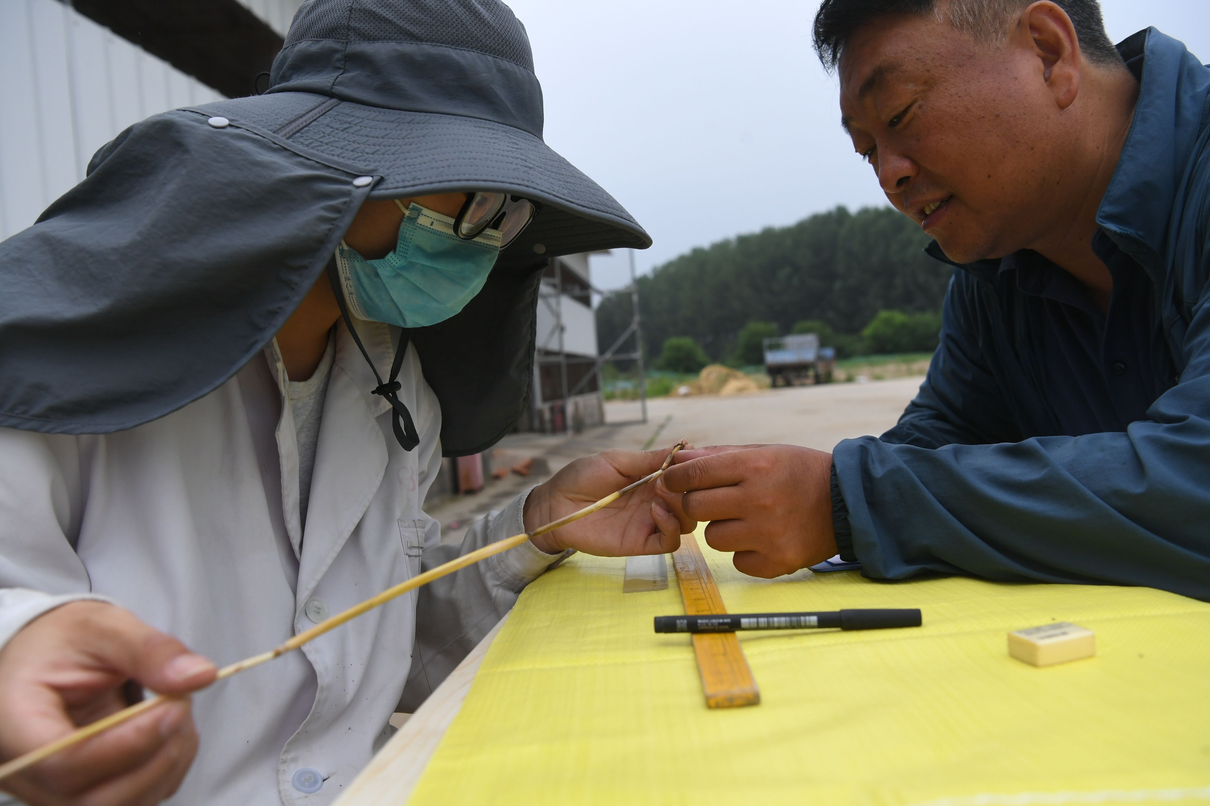 tangzheng202262317504545637