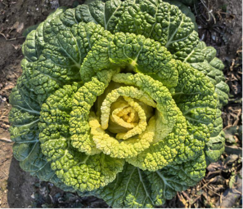 微信图片_2025-12-26_173207_257