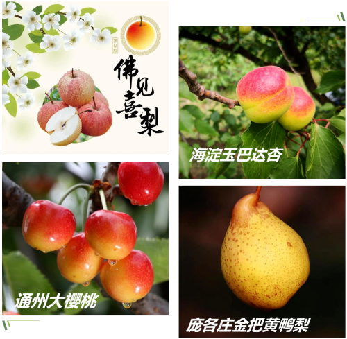屏幕截图 2022-04-25 103107