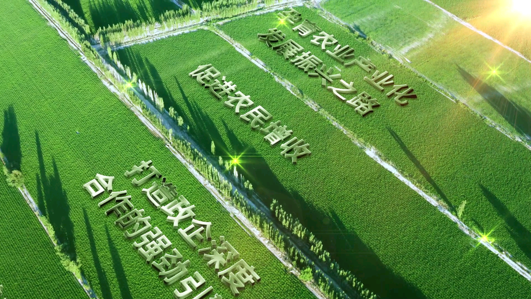微信图片_20220809145200