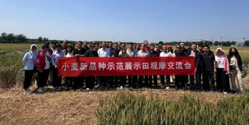 微信图片_20240604101917