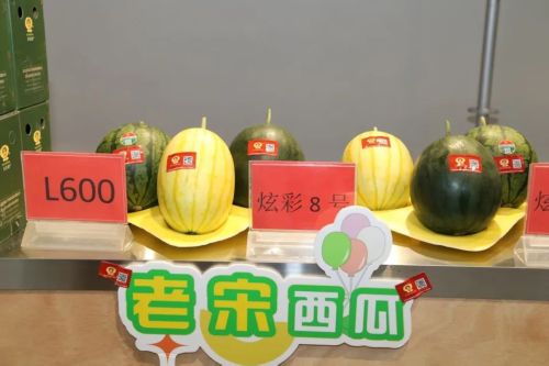 微信图片_20250520143932