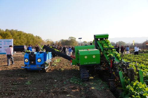 9420d562-5341-473b-9d0f-e7c531d74747 9420d562-5341-473b-9d0f-e7c531d74747