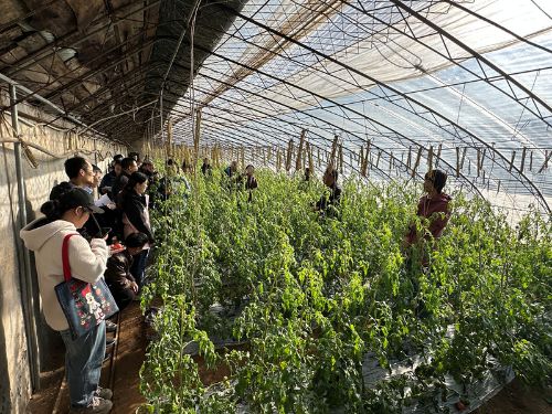 f9228bf0-e510-49ca-8046-2916faab1e00