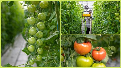 17ed0508-ee3c-463e-8ebd-a7e3d2e12a78