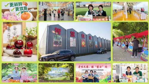 e5dd83ca-b85b-457c-8880-d7d884352ece