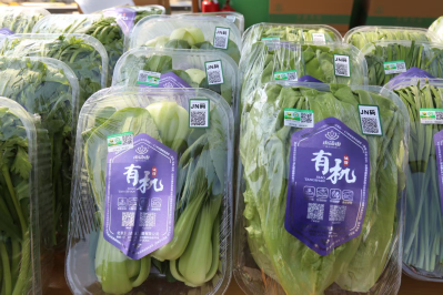 9e1d1ba0-80df-4152-88ae-3486c5465e06