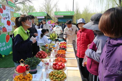 004c70a4-3c66-4acf-8e84-2ff7cb9c1a3e