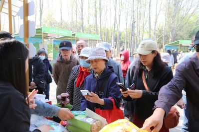 233114d6-74ef-4e5f-8ab7-9c8c274c1140