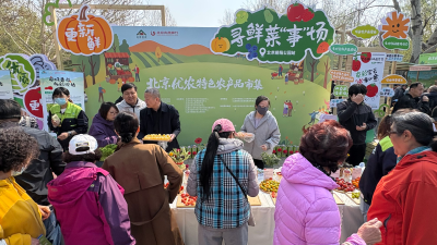 2cb257d9-1fd1-48e5-b31c-d902289951fa