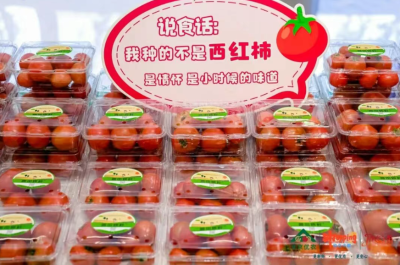 微信图片_2026-04-30_101101_970