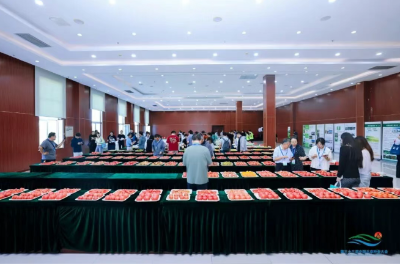 微信图片_2026-06-12_164401_779 微信图片_2026-06-12_164401_779