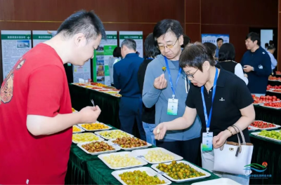 微信图片_2026-06-12_164408_222 微信图片_2026-06-12_164408_222