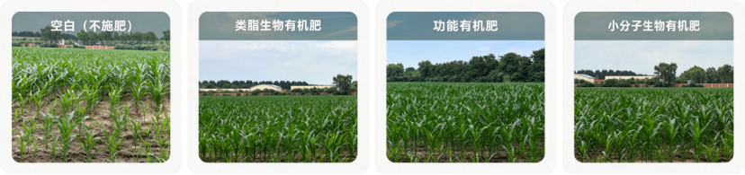 微信图片_2026-10-22_174309_474 微信图片_2026-10-22_174309_474
