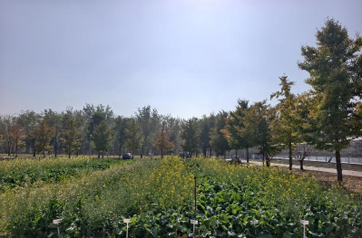 微信图片_2026-10-26_174321_375