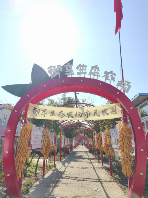图片3