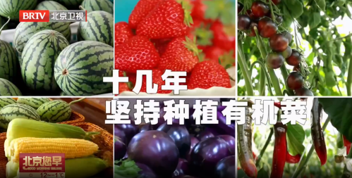 图片8