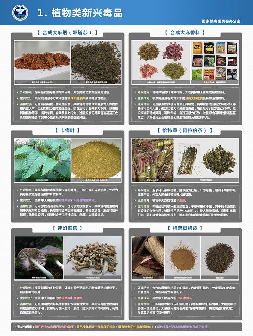 幻灯片1