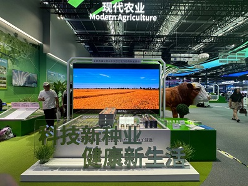 图片11