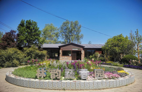 图片32