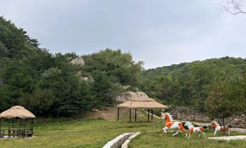 图片15