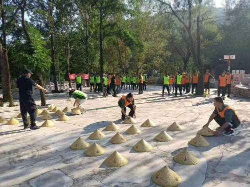 图片10