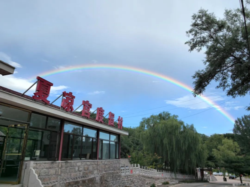 图片14