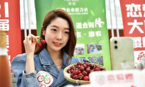 图片31
