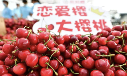 图片32