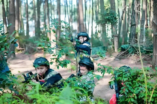 图片37