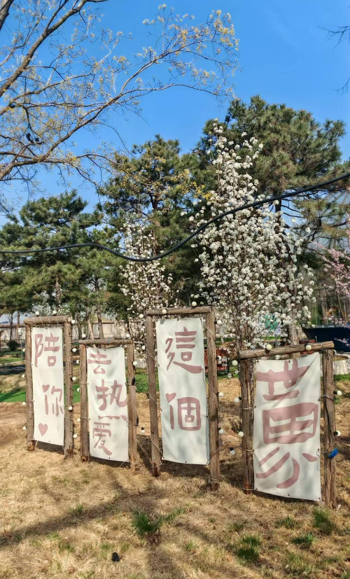 图片18