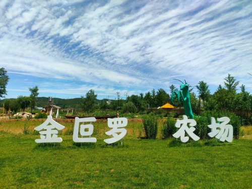 图片7