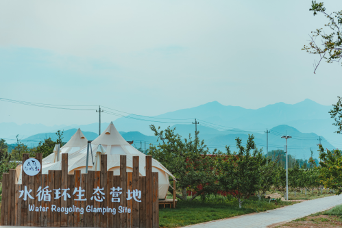 图片10