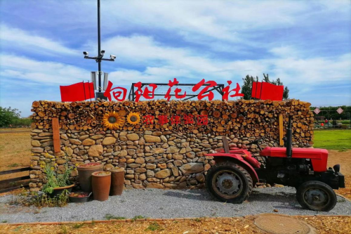 图片10