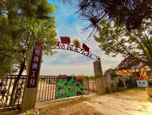 图片11