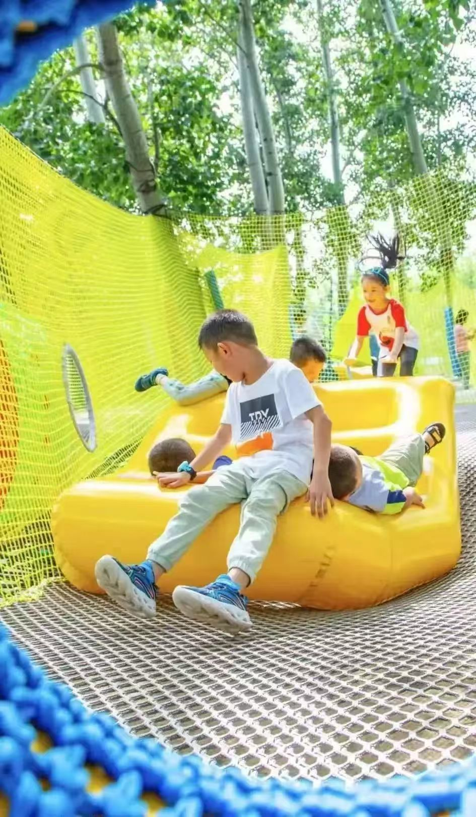 图片12