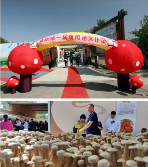 屏幕截图 2023-05-10 101023 屏幕截图 2023-05-10 101023