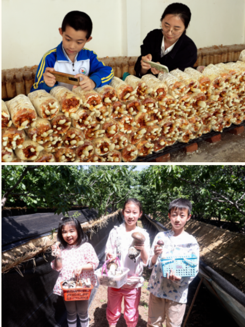 屏幕截图 2023-05-10 101716 屏幕截图 2023-05-10 101716