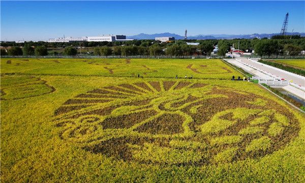 微信图片_20211110141903 微信图片_20211110141903