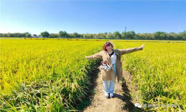 微信图片_20211110141908 微信图片_20211110141908