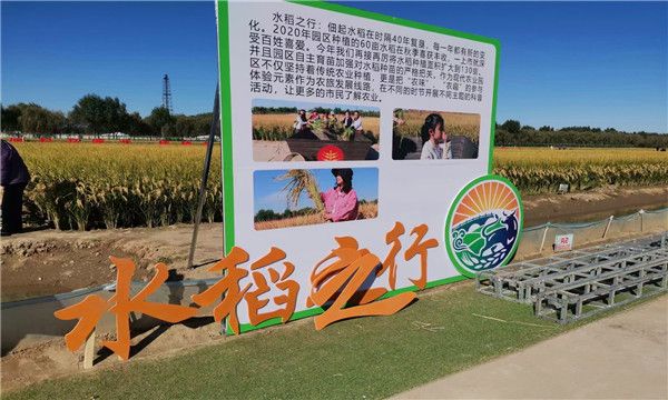 微信图片_20211110141911 微信图片_20211110141911