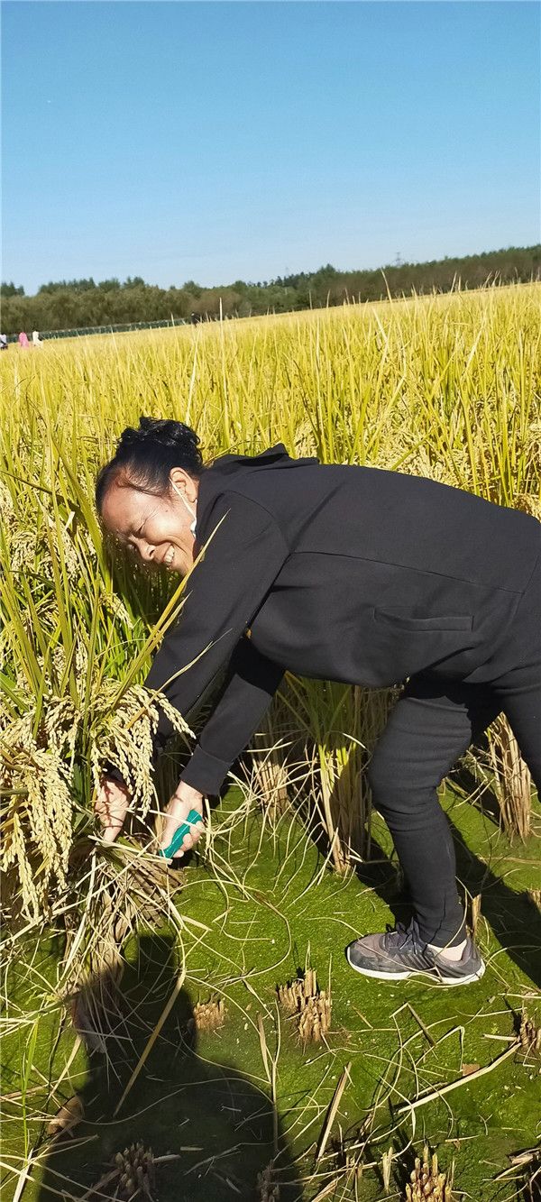 微信图片_20211110141914 微信图片_20211110141914