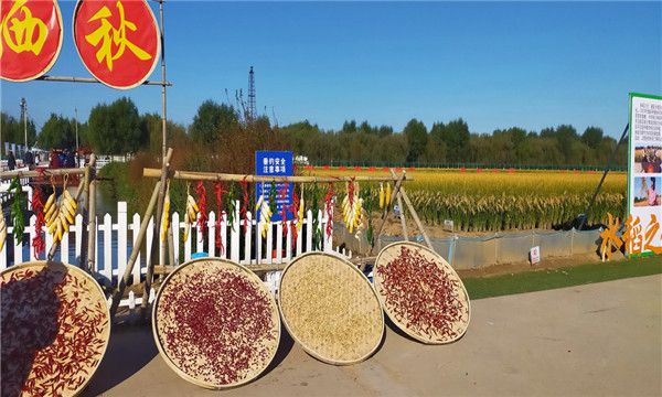 微信图片_20211110141918 微信图片_20211110141918