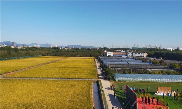 微信图片_20211110141921 微信图片_20211110141921