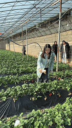 微信图片_2026-02-04_100741_221