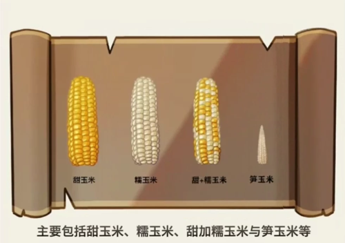 微信图片_2026-08-28_160628_384 微信图片_2026-08-28_160628_384