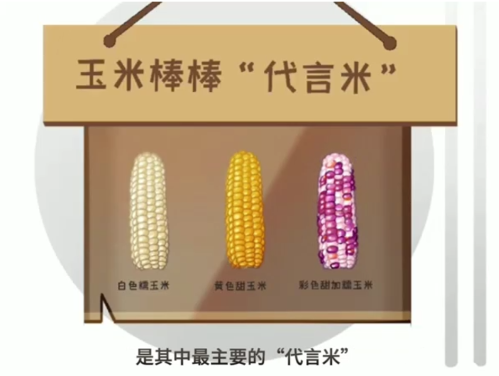 微信图片_2026-08-28_160633_131 微信图片_2026-08-28_160633_131